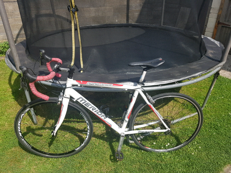 merida road race 750